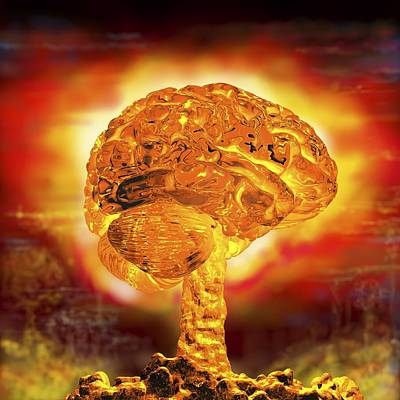 Brain: the Weapon of Mass Explanations - Bahador Bahrami : Bahador Bahrami